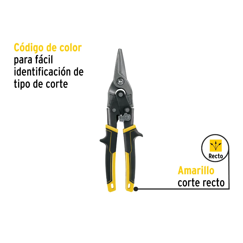 TAV-R+D1.webp