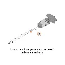 SDS-C4+D1.webp