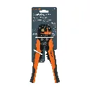 PEC-AUT+E1.webp