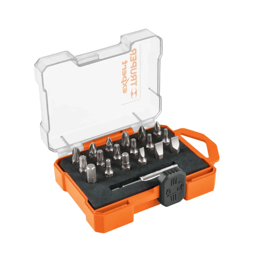 JUEGO DE PUNTAS MIXTAS , LARGO 1" 19 PIEZAS